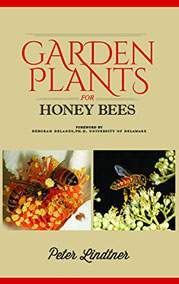 Garden Plants for Honey Bees: