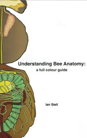 Understanding Bee Anatomy: a full colour guide: $55.00