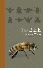 The Bee: A Natural History: $34.00