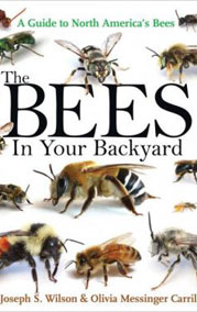 The Bees In Your Backyard: $37.00