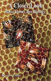 A Closer Look: Basic Honey Bee Biology: $39.00