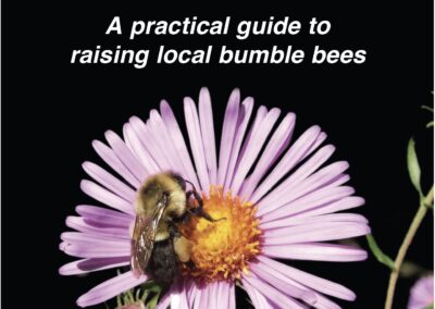 Befriending Bumble Bees/Raising Guide $ 28.00