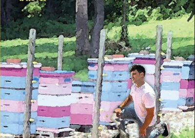 Tell The Bees       28.00